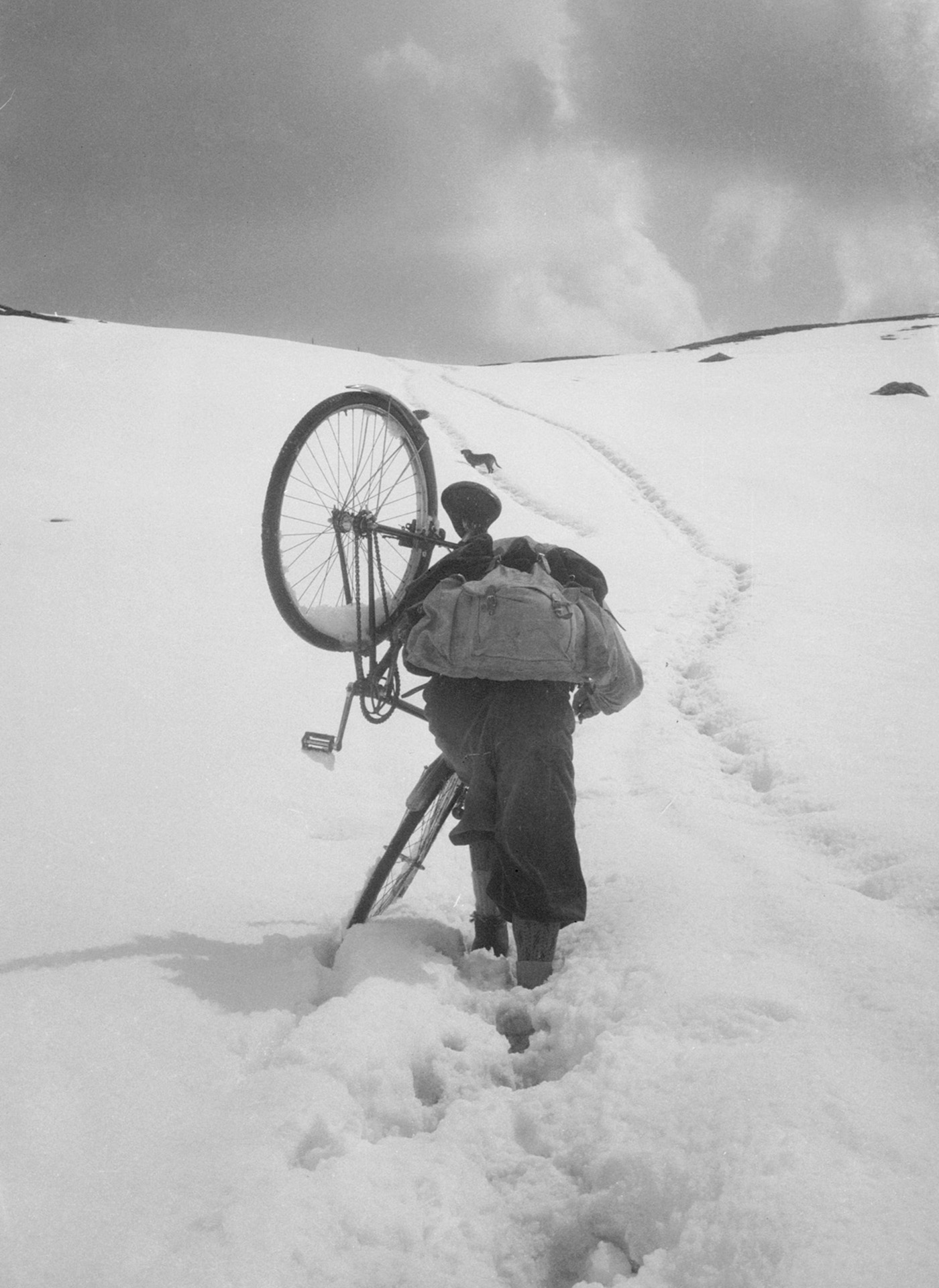 Giuseppe Mazzotti con zaino e bicicletta in spalla attraversa un passo di montagna innevato, fine anni '40 ca. - archivio fotografico della Fondazione Mazzotti c/o FAST – Foto Archivio Storico Trevigiano della Provincia di Treviso